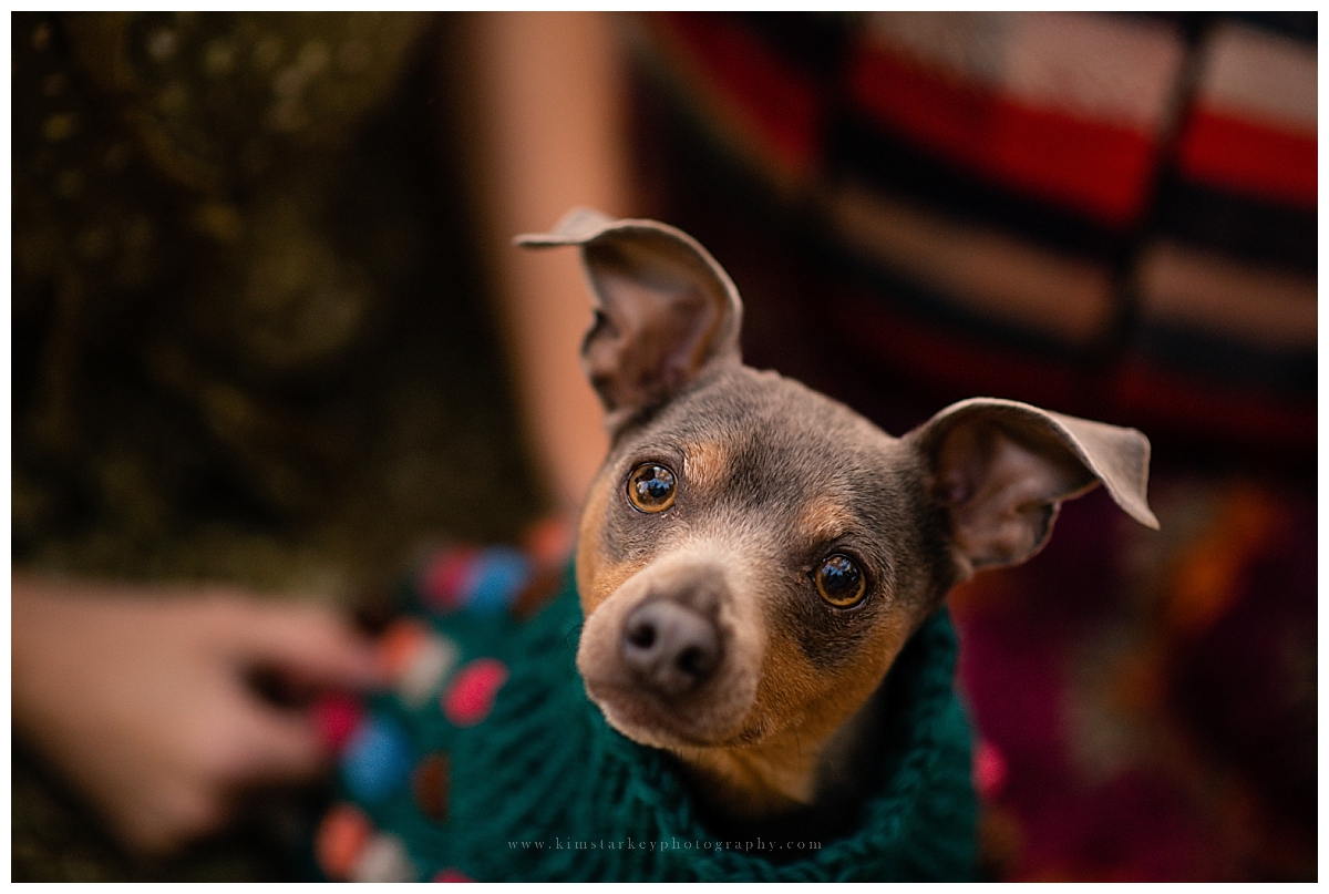 boise family session charcuterie board fall photos dog photos love couples 